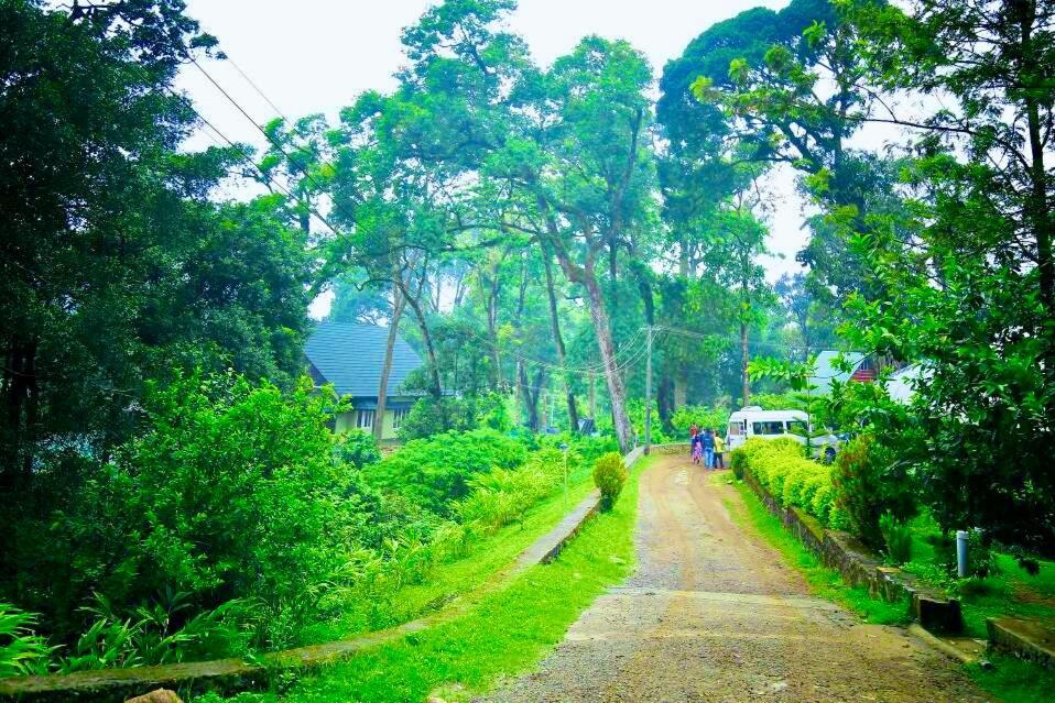 Munnar Tea Estate Cottage And Resort - Away From City Hustle المظهر الخارجي الصورة